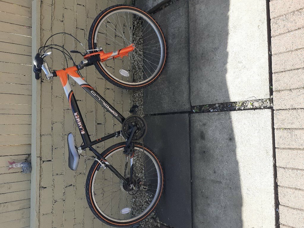 denny bike price